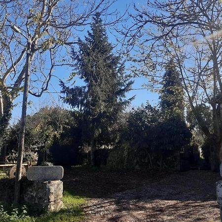 Pazo San Lorenzo- Puebla De Trives Ngoại thất bức ảnh